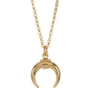 ADORNIA 14K Gold Horn Pendant Necklace NWT